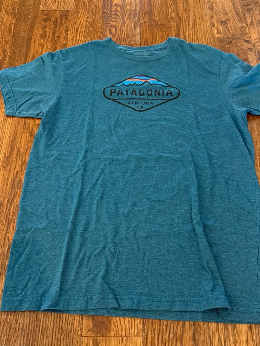 Patagonia Teal Logo Short-Sleeve Tee
